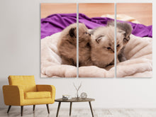 Laden Sie das Bild in den Galerie-Viewer, Leinwandbild 3-teilig Kitten Trio zum Verlieben