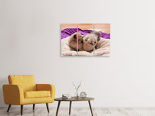 Laden Sie das Bild in den Galerie-Viewer, Leinwandbild 3-teilig Kitten Trio zum Verlieben