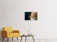 Laden Sie das Bild in den Galerie-Viewer, Leinwandbild 3-teilig Kitten Nase
