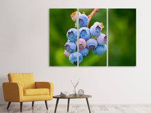 Laden Sie das Bild in den Galerie-Viewer, Leinwandbild 3-teilig Heidelbeeren in der Natur