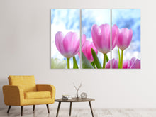 Laden Sie das Bild in den Galerie-Viewer, Leinwandbild 3-teilig Tulpen in der Natur