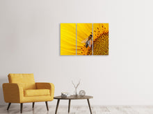 Laden Sie das Bild in den Galerie-Viewer, Leinwandbild 3-teilig Biene auf der Sonnenblume