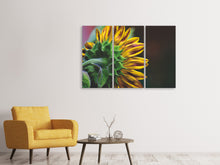 Laden Sie das Bild in den Galerie-Viewer, Leinwandbild 3-teilig Sonnenblume Close up