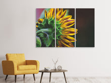 Laden Sie das Bild in den Galerie-Viewer, Leinwandbild 3-teilig Sonnenblume Close up
