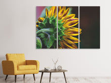 Laden Sie das Bild in den Galerie-Viewer, Leinwandbild 3-teilig Sonnenblume Close up