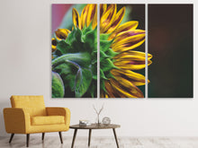 Laden Sie das Bild in den Galerie-Viewer, Leinwandbild 3-teilig Sonnenblume Close up