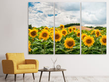 Laden Sie das Bild in den Galerie-Viewer, Leinwandbild 3-teilig Landschaft mit Sonnenblumen