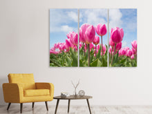 Laden Sie das Bild in den Galerie-Viewer, Leinwandbild 3-teilig Tulpenfeld in rosa