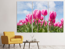 Laden Sie das Bild in den Galerie-Viewer, Leinwandbild 3-teilig Tulpenfeld in rosa