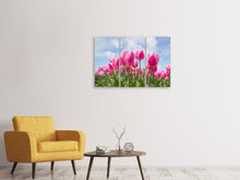Laden Sie das Bild in den Galerie-Viewer, Leinwandbild 3-teilig Tulpenfeld in rosa