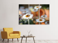 Laden Sie das Bild in den Galerie-Viewer, Leinwandbild 3-teilig Margeriten XL