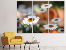 Laden Sie das Bild in den Galerie-Viewer, Leinwandbild 3-teilig Margeriten XL