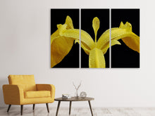 Laden Sie das Bild in den Galerie-Viewer, Leinwandbild 3-teilig Die Sumpf-Schwertlilie