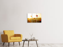 Laden Sie das Bild in den Galerie-Viewer, Leinwandbild 3-teilig Mohn im Sonnenuntergang