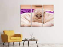 Laden Sie das Bild in den Galerie-Viewer, Leinwandbild 3-teilig Kitten zum Verlieben
