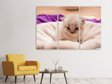 Laden Sie das Bild in den Galerie-Viewer, Leinwandbild 3-teilig Kitten zum Verlieben