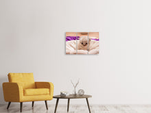 Laden Sie das Bild in den Galerie-Viewer, Leinwandbild 3-teilig Kitten zum Verlieben