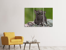 Laden Sie das Bild in den Galerie-Viewer, Leinwandbild 3-teilig 2 schwarze Katzenbabys