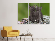 Laden Sie das Bild in den Galerie-Viewer, Leinwandbild 3-teilig 2 schwarze Katzenbabys