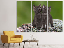 Laden Sie das Bild in den Galerie-Viewer, Leinwandbild 3-teilig 2 schwarze Katzenbabys