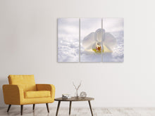 Laden Sie das Bild in den Galerie-Viewer, Leinwandbild 3-teilig Die Orchideen Blüte