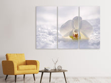 Laden Sie das Bild in den Galerie-Viewer, Leinwandbild 3-teilig Die Orchideen Blüte