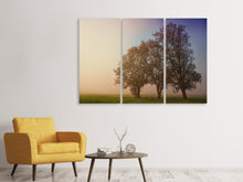 Laden Sie das Bild in den Galerie-Viewer, Leinwandbild 3-teilig Der schiefe Baum