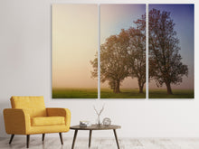 Laden Sie das Bild in den Galerie-Viewer, Leinwandbild 3-teilig Der schiefe Baum
