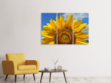 Laden Sie das Bild in den Galerie-Viewer, Leinwandbild 3-teilig Sonnenblume in XXL