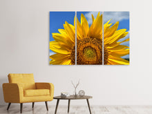Laden Sie das Bild in den Galerie-Viewer, Leinwandbild 3-teilig Sonnenblume in XXL