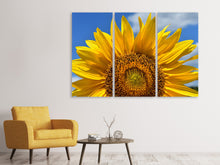Laden Sie das Bild in den Galerie-Viewer, Leinwandbild 3-teilig Sonnenblume in XXL