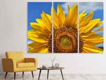 Laden Sie das Bild in den Galerie-Viewer, Leinwandbild 3-teilig Sonnenblume in XXL