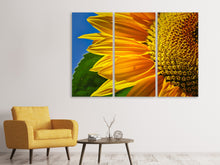 Laden Sie das Bild in den Galerie-Viewer, Leinwandbild 3-teilig Die Knospe Close up