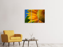 Laden Sie das Bild in den Galerie-Viewer, Leinwandbild 3-teilig Die Knospe Close up