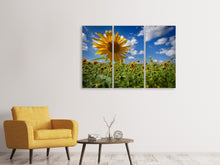 Laden Sie das Bild in den Galerie-Viewer, Leinwandbild 3-teilig Eine Sonnenblume unter vielen