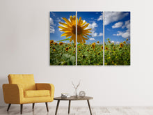 Laden Sie das Bild in den Galerie-Viewer, Leinwandbild 3-teilig Eine Sonnenblume unter vielen