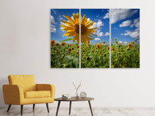 Laden Sie das Bild in den Galerie-Viewer, Leinwandbild 3-teilig Eine Sonnenblume unter vielen