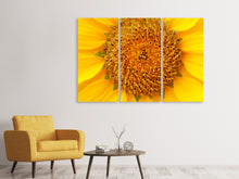 Laden Sie das Bild in den Galerie-Viewer, Leinwandbild 3-teilig Wunderschöne Knospen der Sonnenblume