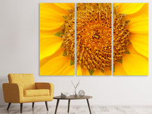 Laden Sie das Bild in den Galerie-Viewer, Leinwandbild 3-teilig Wunderschöne Knospen der Sonnenblume
