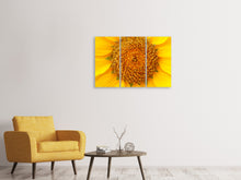 Laden Sie das Bild in den Galerie-Viewer, Leinwandbild 3-teilig Wunderschöne Knospen der Sonnenblume
