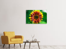 Laden Sie das Bild in den Galerie-Viewer, Leinwandbild 3-teilig Farbenprächtige Sonnenblume