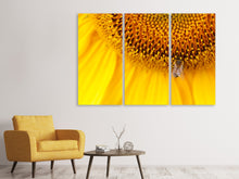 Laden Sie das Bild in den Galerie-Viewer, Leinwandbild 3-teilig Close up Gelbe Knospe