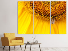 Laden Sie das Bild in den Galerie-Viewer, Leinwandbild 3-teilig Close up Gelbe Knospe