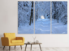 Laden Sie das Bild in den Galerie-Viewer, Leinwandbild 3-teilig Endlich Winter