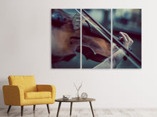Laden Sie das Bild in den Galerie-Viewer, Leinwandbild 3-teilig Geigenspieler