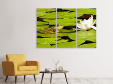 Laden Sie das Bild in den Galerie-Viewer, Leinwandbild 3-teilig Der Frosch und die Seerose