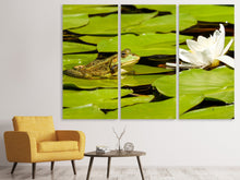 Laden Sie das Bild in den Galerie-Viewer, Leinwandbild 3-teilig Der Frosch und die Seerose