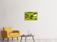 Laden Sie das Bild in den Galerie-Viewer, Leinwandbild 3-teilig Der Frosch und die Seerose