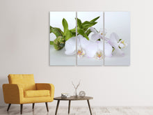 Laden Sie das Bild in den Galerie-Viewer, Leinwandbild 3-teilig Orchidee und Bambus