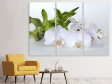 Laden Sie das Bild in den Galerie-Viewer, Leinwandbild 3-teilig Orchidee und Bambus